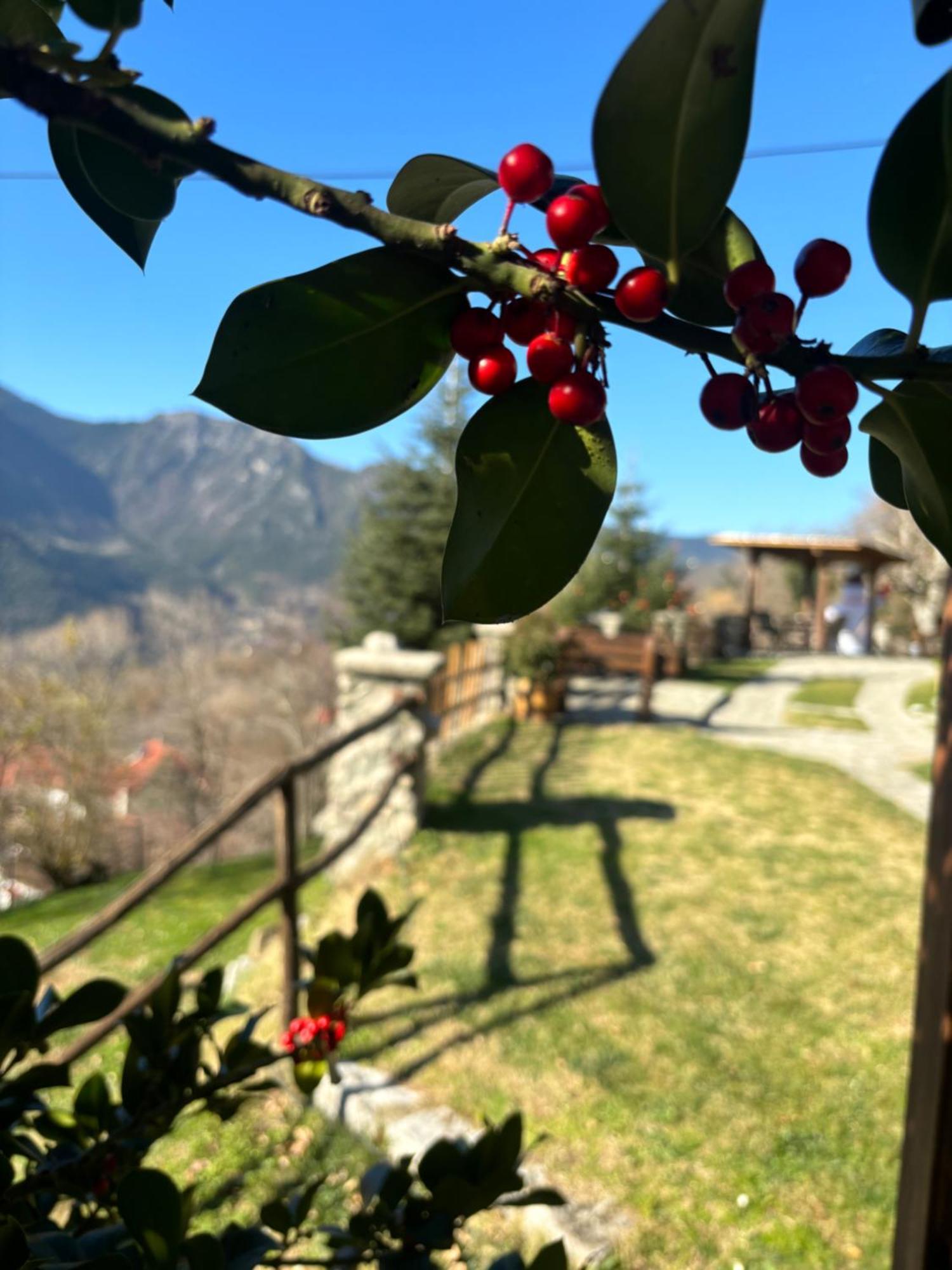 Πέτρινο Όραμα Hotel Kotronion  Екстериор снимка