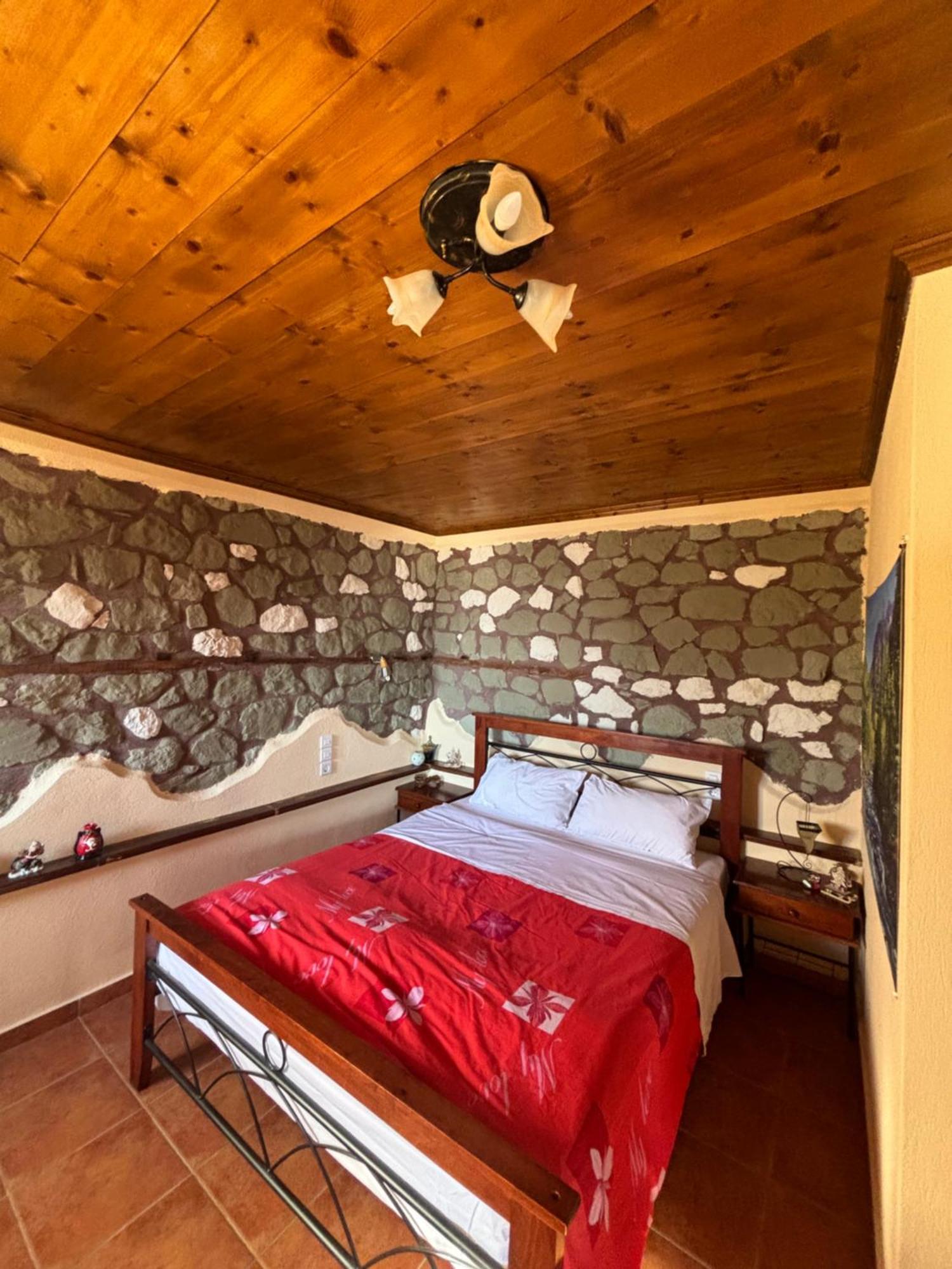 Πέτρινο Όραμα Hotel Kotronion  Екстериор снимка